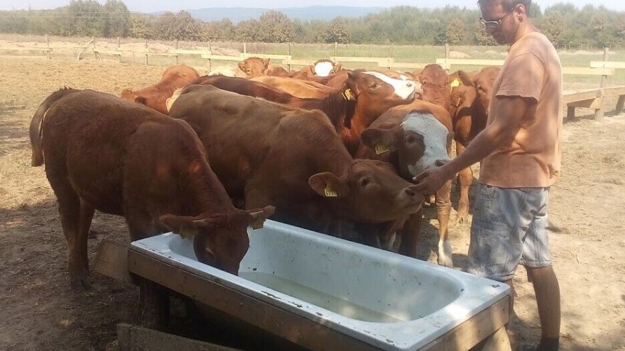 Matija Krstanac: Volim ovaj posao, za to sam se obrazovao i vjerujem da od njega mogu živjeti