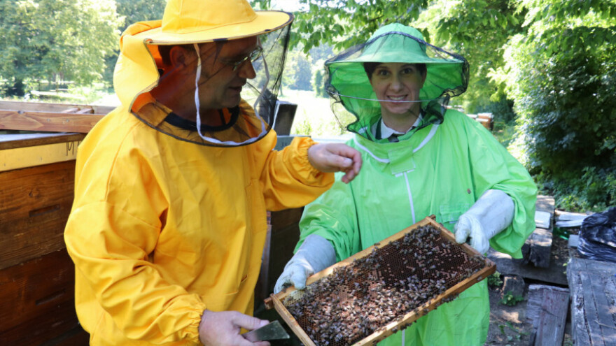 Srditi med s OPG-a Lončarić - prvi začin na bazi meda!