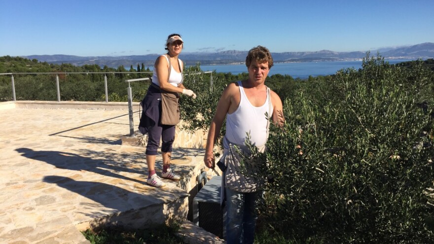 Za ulje iz pradjedovog maslinika Dafne i Mario Ružić nagrađeni zlatom u New Yorku