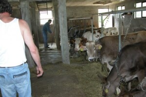 Novcem iz IPARD-a opremljena farma