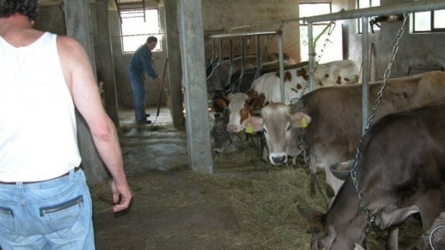 Novcem iz IPARD-a opremljena farma