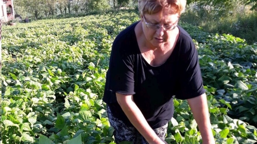 Naslijeđenu zemlju nakon mirovine pretvorila u obradive površine na kojima uzgaja buče i grah