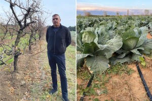 Marijo Batur: Nigdje, a pogotovo tu u zaleđu Zadra, proizvodnja bez vode nije moguća