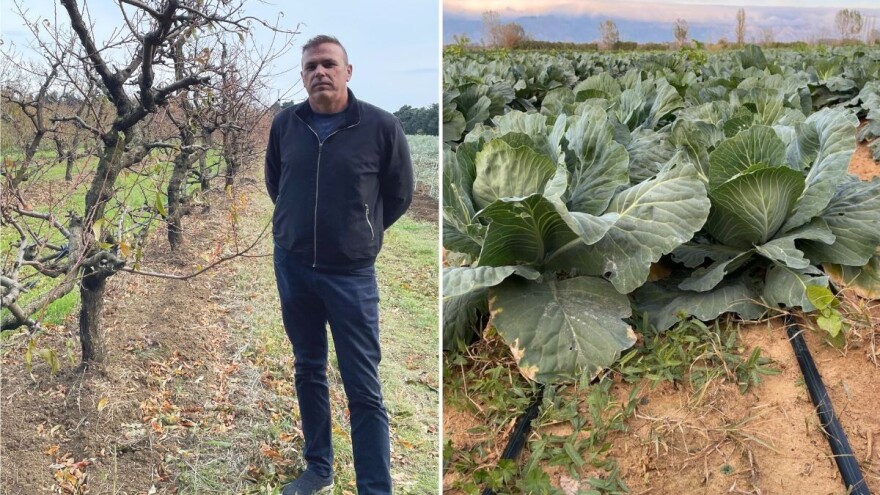 Marijo Batur: Nigdje, a pogotovo tu u zaleđu Zadra, proizvodnja bez vode nije moguća