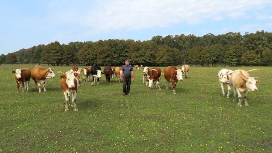 Krčio ga osam godina, 'polomio' i traktor, ali danas ima jedan od najljepših pašnjaka