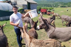 Krenulo je s jednom magaricom, mlijeko s OPG-a Marko danas se prodaje diljem Dalmacije