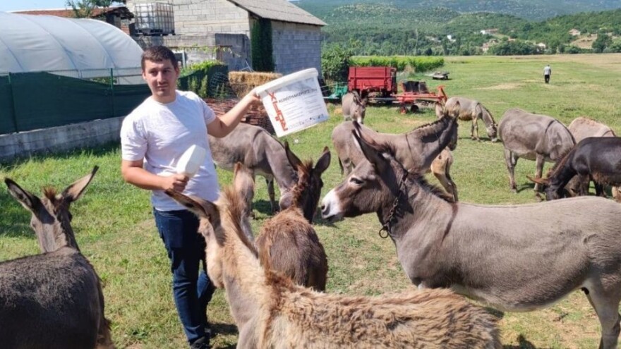 Krenulo je s jednom magaricom, mlijeko s OPG-a Marko danas se prodaje diljem Dalmacije
