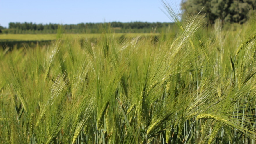 Još ništa od dogovora o reformi ZPP-a