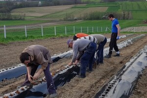Priča Matije Brinjaka u časopisu Farmers of Europe