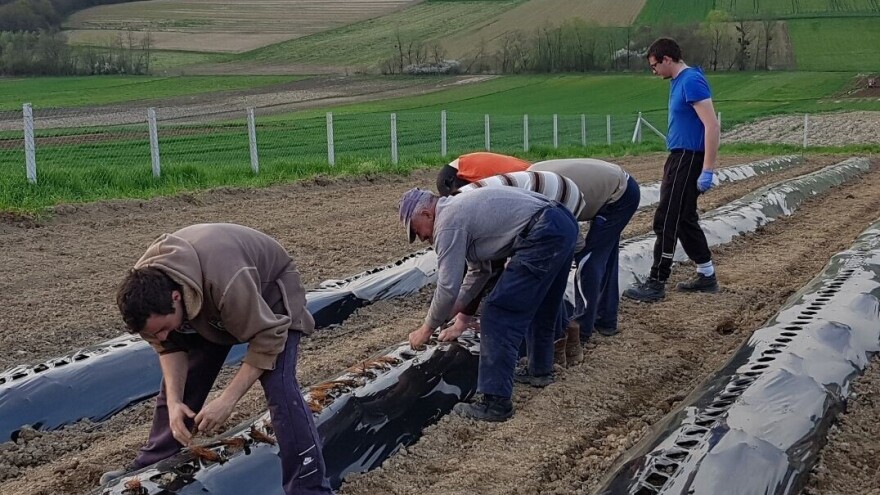 Priča Matije Brinjaka u časopisu Farmers of Europe