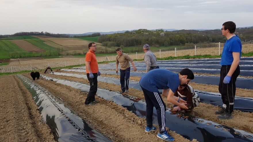 Matija (29): Ne gledajmo jedni druge kao konkurenciju, što nas je više bit će manje uvoza