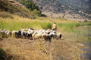 Razvoj agro turizma stvara preduvjete za mlade
