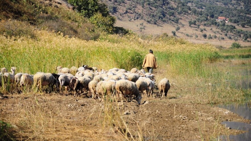 Razvoj agro turizma stvara preduvjete za mlade