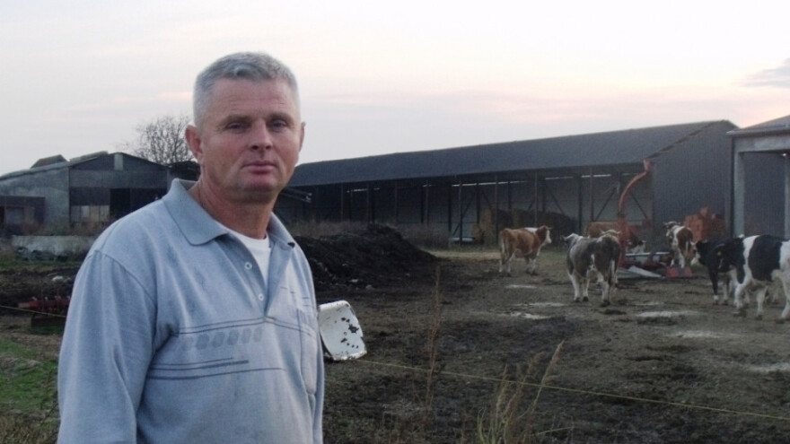 Par krava pomuzem samo radi mljekomata