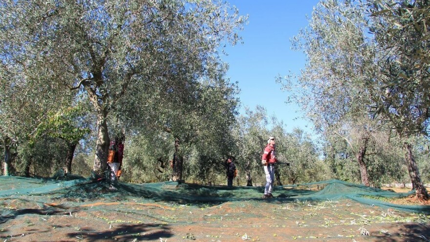 Provjerite jeste li na spisku - ko je dobio poticaje u HNK?