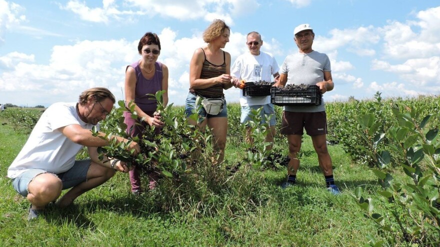 Slobodan Metlikovec: Samo su nas iz OPG-a prebacili u SOPG, a što ću sad s prerađevinama?