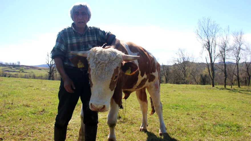 Milan Radić više i ne broji koliko je puta imao posla s razbojnicima - prebili su mu i bika i tele