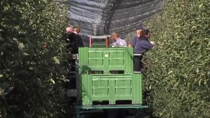 S ratarstva prešao na voćarstvo - danas ne žali!