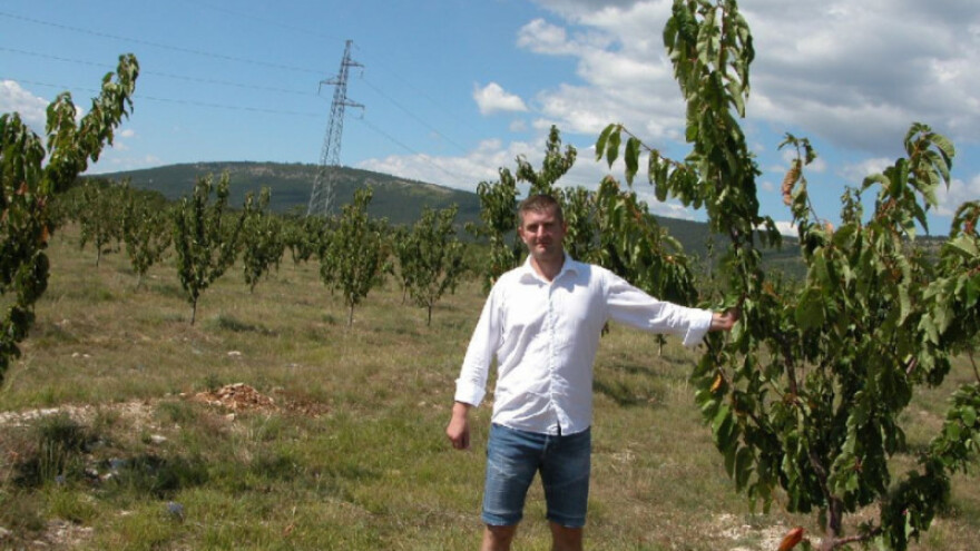 Rezultati obrade prijava za podmjeru 6.3!