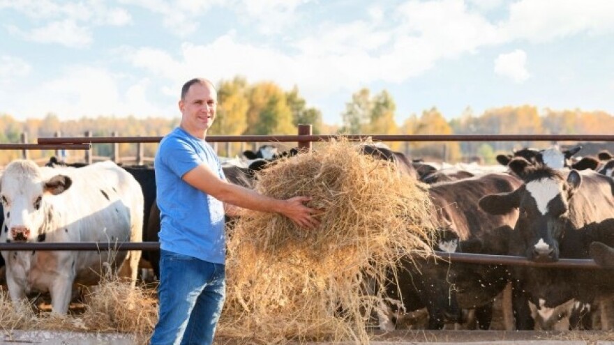 Raste broj RPG-ova u BiH