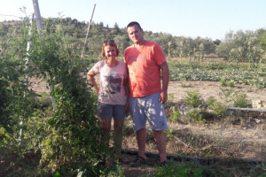 Okrenuli se eko uzgoju maslina, povrća i ljekovitog bilja