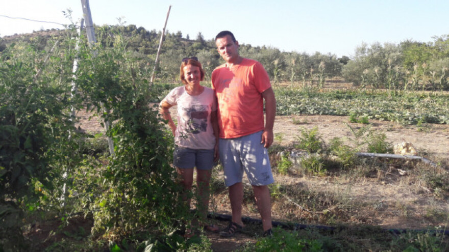 Okrenuli se eko uzgoju maslina, povrća i ljekovitog bilja