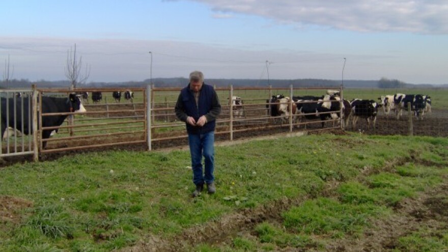 Na farmi Panić i Božić se slavi u štali!