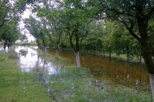 Elementarna nepogoda u Osječko-baranjskoj županiji