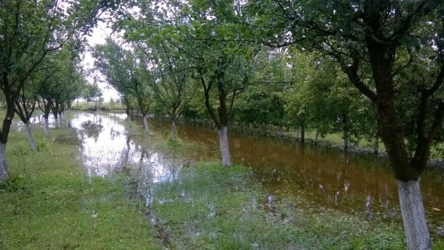 Elementarna nepogoda u Osječko-baranjskoj županiji