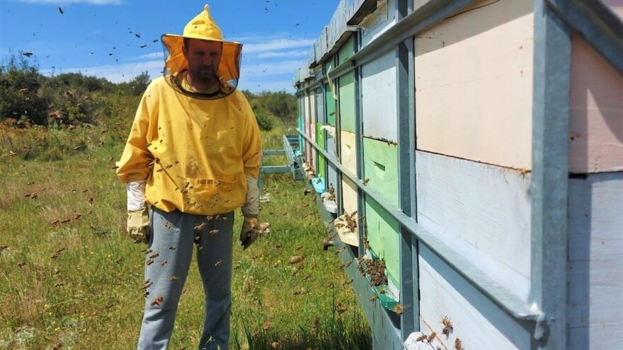 Suvremen pčelinjak obitelji Džepina: Dnevni prinos meda prati i javlja SMS vaga