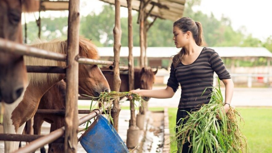 Uzdižući OPG, ponovno najviše velikim sustavima?