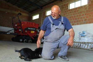 Isplata avansa izravnih plaćanja u listopadu, plavi dizel odlazi u povijest?