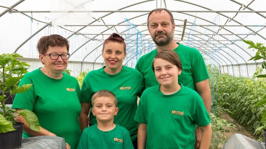 Supružnici Preložnjak pioniri su proizvodnje ajvara od čilija, traženi su im i ljuti džemovi