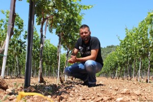 Vrhunski babić i ekološko maslinovo ulje Galjin Dvor zaokružuje ruralnim turizmom