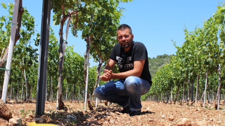 Vrhunski babić i ekološko maslinovo ulje Galjin Dvor zaokružuje ruralnim turizmom