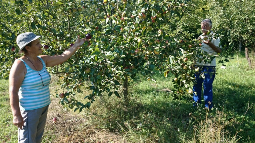 Naučite kako obračunavati porez za OPG!