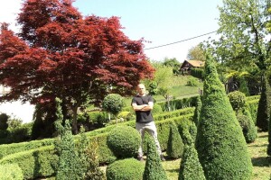 Matija Rešetar uzgaja šimšir i pretvara ga u kuglu, stožac, piramidu