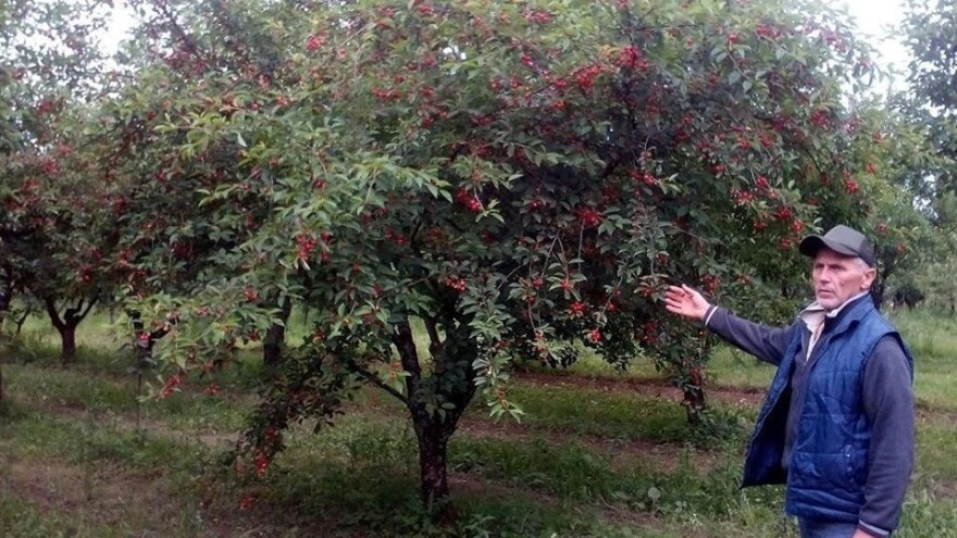 Ivan Rešković: Zemlja i voćnjak vratili su mi snagu i volju za životom