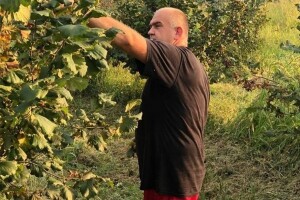 Na OPG-u Rosman ništa ne kupuju, od sadnica, preko ploda - sve je njihovih ruku djelo
