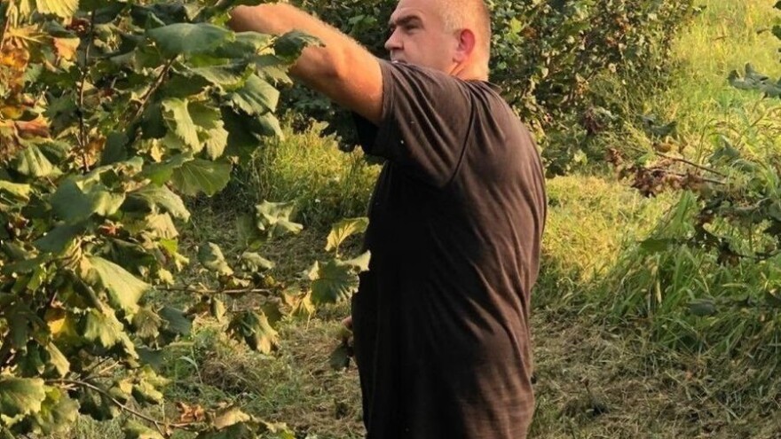 Na OPG-u Rosman ništa ne kupuju, od sadnica, preko ploda - sve je njihovih ruku djelo