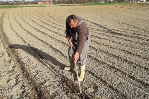 Slavonski češnjak, grah, kupus, krumpir s OPG-a Šestanj - spojili iskustvo i znanje