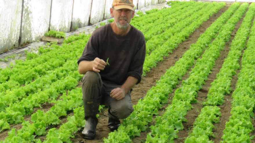 Kada imate nešto za prodati uvijek će kapnuti neka kuna