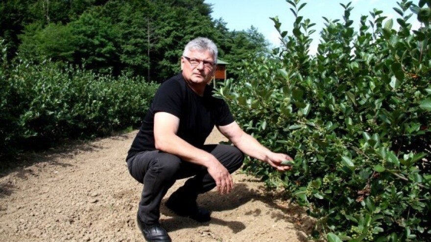 Životnu ušteđevinu uložio u ekološki uzgoj!