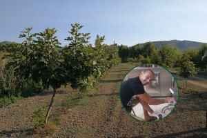 Tomislav Šiljeg: Otac nije vjerovao kada sam rekao da ću posaditi 300 stabala smokava i ući u eko proizvodnju