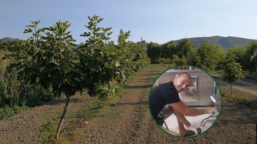 Tomislav Šiljeg: Otac nije vjerovao kada sam rekao da ću posaditi 300 stabala smokava i ući u eko proizvodnju