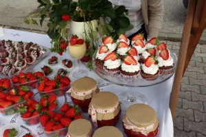 Posljednje jagode obrali u prvom tjednu Adventa!