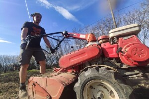 Iz voćnjaka s više od 2.000 stabala jabuka izrasla je -  BaŠcha