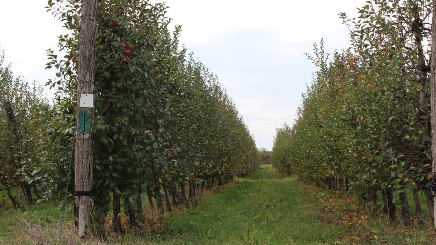 Iz Programa ruralnog razvoja isplaćeno gotovo 79 posto dodijeljenih sredstava