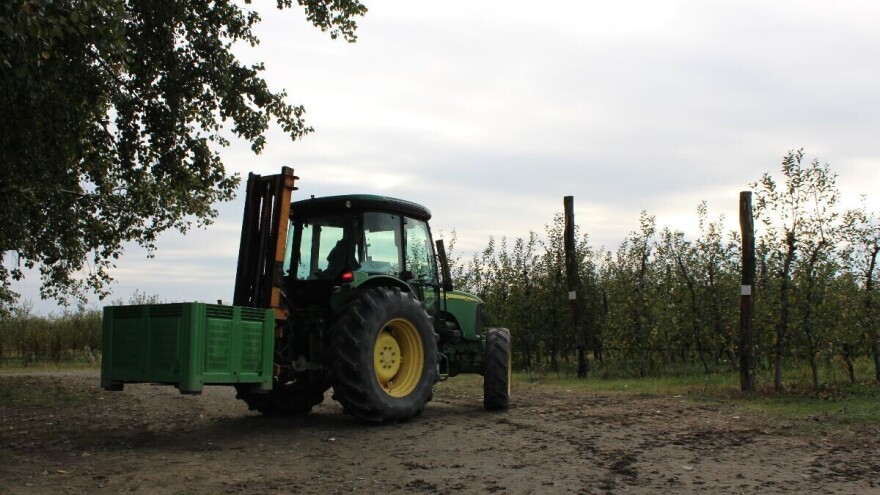 "Nulta tolerancija" nekih zemalja EU za domaće jabuke