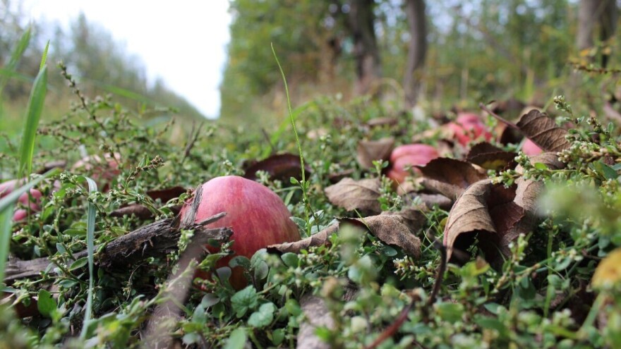 Težiti samodostatnosti? Da, ali biti svjesni da na svijetu nismo sami